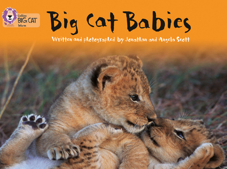 Paperback Big Cat Babies: Band 05/Green Book