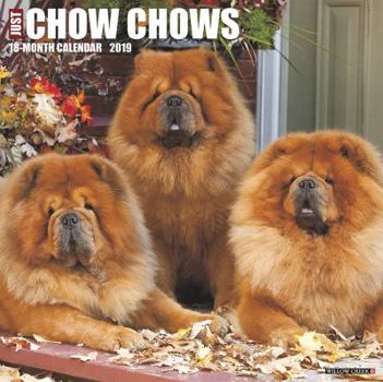 Calendar Just Chow Chows 2019 Wall Calendar (Dog Breed Calendar) Book
