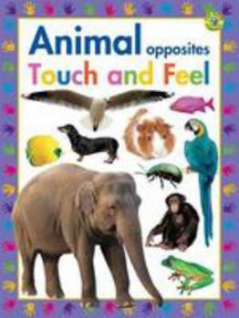 Board book Animal Opposites: Touch and Feel Book