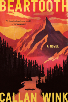 Paperback Beartooth Book