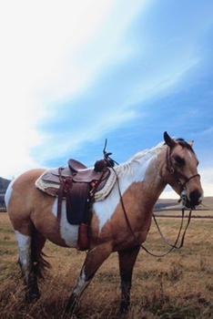 2020 Weekly Planner Horse Photo Equine Trusted Steed 134 Pages: 2020 Planners Calendars Organizers Datebooks Appointment Books Agendas