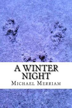 Paperback A Winter Night Book