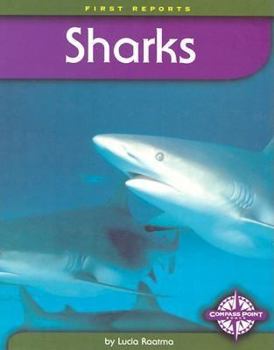 Library Binding Sharks Book