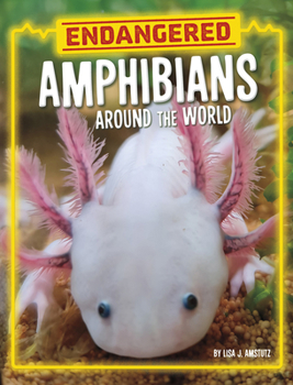 Paperback Endangered Amphibians Around the World Book