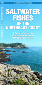 Saltwater Game Fish of Northeast Coast Nearshore Waters: A Guide to Species, Rules, and Tips for Fishing Maine, New Hampshire, Massachusetts, Rhode Is