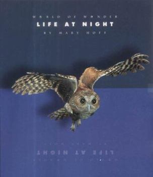 Hardcover Life at Night Book
