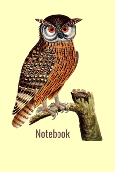 Paperback Notebook: 6 x 9 College Ruled Notebook for School Work Writing or home Book