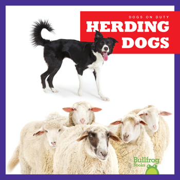 Paperback Herding Dogs Book