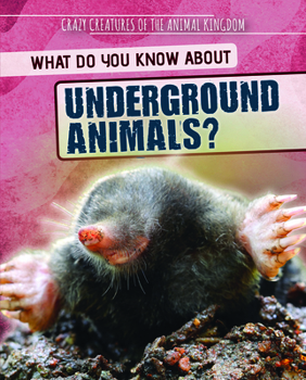 Paperback What Do You Know about Underground Animals? Book