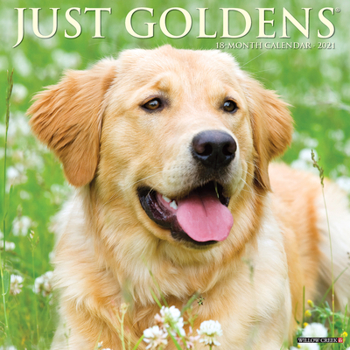 Calendar Just Goldens 2021 Wall Calendar (Dog Breed Calendar) Book