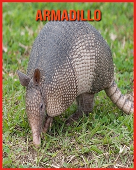 Paperback Armadillo: Libro per bambini con fatti divertenti e foto incredibili [Italian] Book