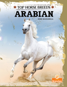 Hardcover Arabian Book