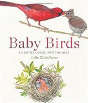 Hardcover Baby Birds: An Artist Looks Into the Nest Book