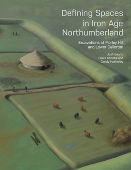 Paperback Defining Spaces in Iron Age Northumberland: Excavations at Morley Hill and Lower Callerton Book