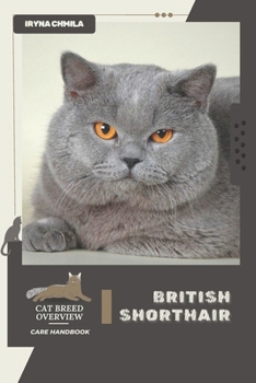 British Shorthair: Cat breed overview, care handbook