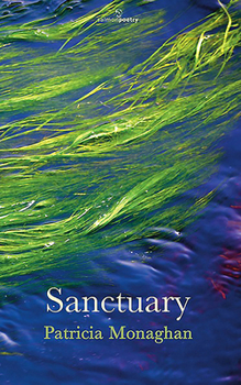 Paperback Sanctuary Book