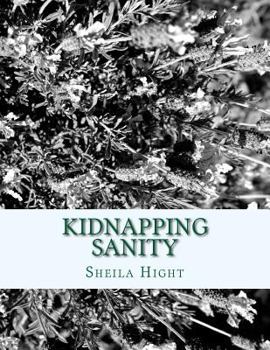 Paperback Kidnapping Sanity Book