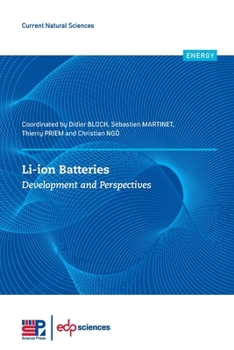 Paperback Li-Ion Batteries: Development and Perspectives Book