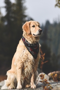 Golden Retriever Dog Pup Puppy Doggie Notebook Bullet Journal Diary Composition Book Notepad - Sitting in Wilderness: Cute Animal Pet Owner ... Ruled Lined Paper Pages in 6” x 9” Inch