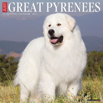 Calendar Just Great Pyrenees 2024 12 X 12 Wall Calendar Book