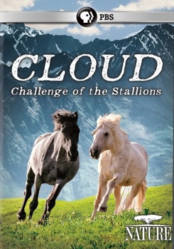 DVD Nature: Cloud Challenge of the Stallions Book