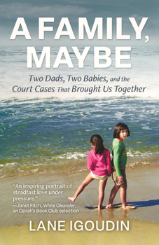 Paperback A Family, Maybe: Two Dads, Two Babies, and the Court Cases That Brought Us Together Book