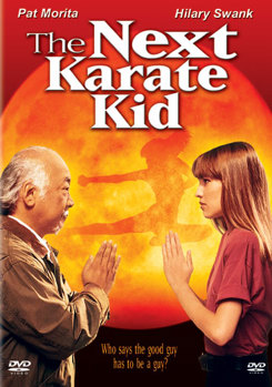 DVD The Next Karate Kid Book