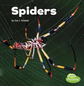 Spiders - Book  of the Little Critters