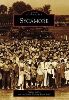Paperback Sycamore Book