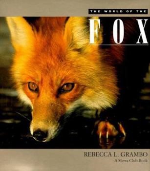 Hardcover The World of the Fox Book