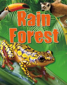 Hardcover Rain Forest Book