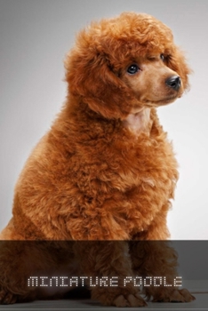 Paperback Miniature Poodle: Complete breed guide Book
