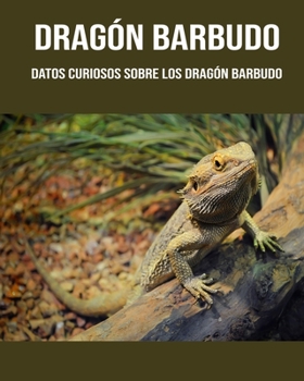 Dragón barbudo: Datos curiosos sobre los Dragón barbudo