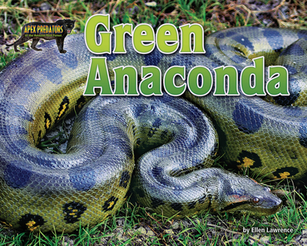 Paperback Green Anaconda Book