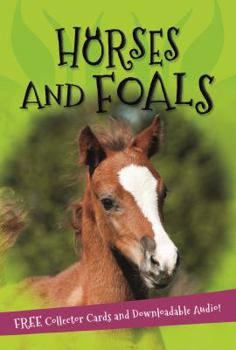 Paperback It's All About... Horses and Foals Book