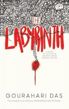 Paperback The Labyrinth Book