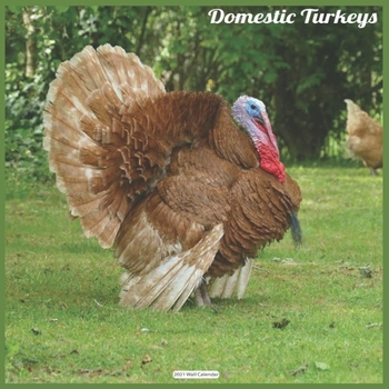 Domestic Turkeys 2021 Wall Calendar: Official Turkeys Calendar 2021 Wall Calendar
