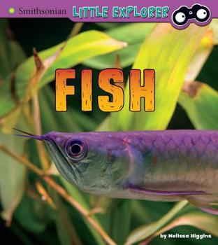 Paperback Fish: A 4D Book