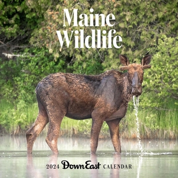 Calendar 2024 Maine Wildlife Wall Calendar Book