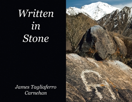 Paperback Written in Stone Book