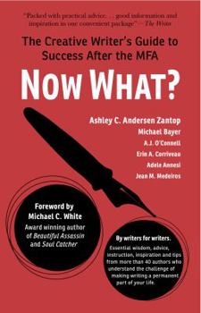 Paperback Now What?: The Creative Writer's Guide to Success After the MFA Book