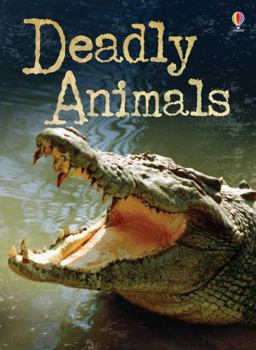 Paperback Beginners Plus Deadly Animals (Beginners Plus Series) Book