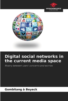Paperback Digital social networks in the current media space Book