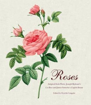Paperback Roses: Mini Archive with DVD Book