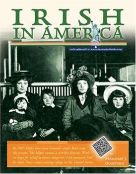 Library Binding Irish in America Book