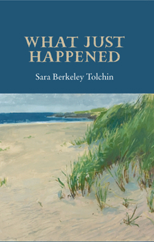 Paperback What Just Happened Book