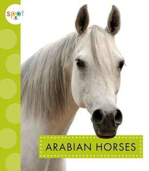 Library Binding Arabian Horses Book