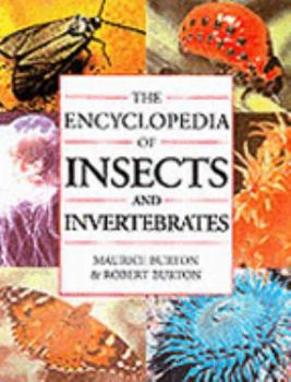 Paperback Insect & Invertebrates Encyclopedia Book