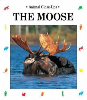 Paperback The Moose: Gentle Giant Book