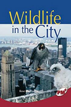 Paperback Wildlife in the City: Individual Student Edition Ruby (Levels 27-28) Book